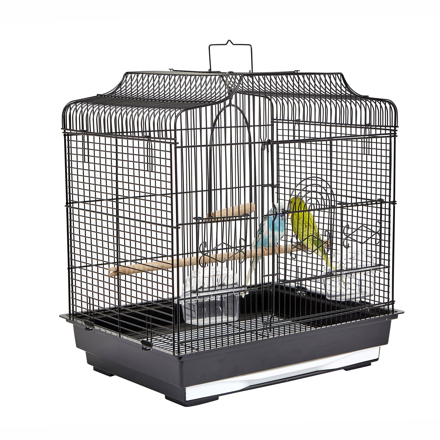 Costa black parakeet cage