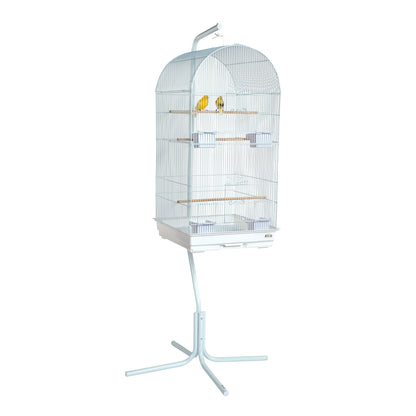 Vogelkäfigsittich Caracas weiß