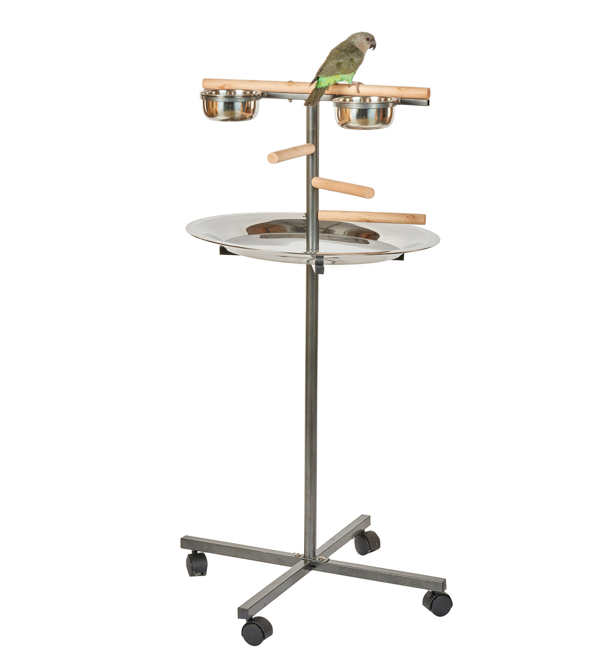 Standard T-Bar Medium für Sittiche 49736 schwarz