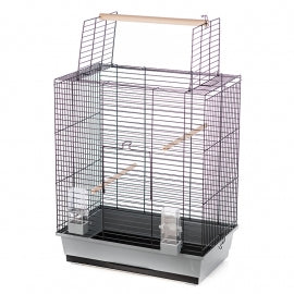 Cage black cockatiel (clearance)