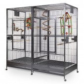 Parrot cage type Arkansas II antique Montana factory