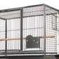 Ausstellungs- und Zuchtkäfig dreifacher Papagei schwarz